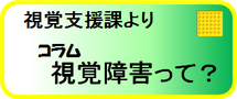 コラム視覚障害って？