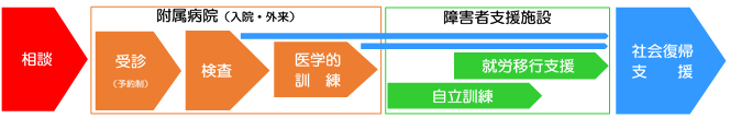 訓練・支援の流れ