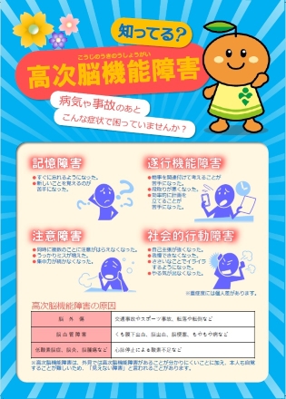 「ご存じですか？高次脳機能障害」の表紙画像